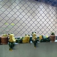 ราคา กบเซรามิก ตุ๊กตาจัดสวน ตุ๊กตาแต่งสวน ตุ๊กตาแต่งบ้านเรา /ตัวใหญ่ ขนาด 28 cm (7743943453)