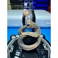 ราคา เหรียญรูปหล่อ พญาศรีสัตตนาคราช นาคบาศ คุ้มครอง ร่ำรวย วัดไครมิตร จ นครพนม นวะ (25324050421)