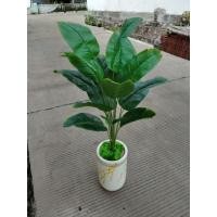 ราคา ซีบี 18 แพ็คเกจใบตอง พร้อมแจกันหินอ่อน (44126172266)