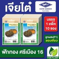 ราคา เมล็ดพันธุ์ ผักซอง ฟักทอง ศรีเมือง16 CT25 ตราเจียไต๋ บรรจุแพ็คละ 10 ซอง (25076026221)