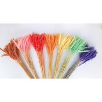 ราคา ดอกหญ้าปีกนก ดอกไม้แห้ง ดอกหญ้าแห้ง ดอกไม้สำหรับตกแต่ง (20162208059)