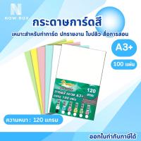 ราคา กระดาษการ์ดสี ขนาด A3+ 120 แกรม มีให้เลือก 5 สี กระดาษสี กระดาษปก พื้นผิวเรียบ บรรจุ 100 แผ่น (24640650211)