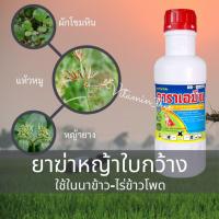 ราคา ยาฆ่าหญ้า ใบกว้าง หญ้าในนา นาข้าว ไร่ข้าวโพด ดาราเอมีน หมาแดงน้ำ 2,4-ดี ไดเมทิลแอมโมเนียม 84% (5071676215)