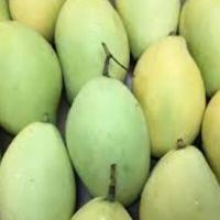 ราคา มะม่วงโชคอนันต์ น้ำหนัก 3 กิโลกรัม ส่งฟรี เก็บเงินปลายทาง (15577961115)