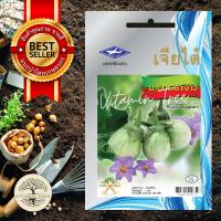 ราคา เมล็ดพันธุ์ มะเขือเปราะ จาว 0.5กรัม (4451414631)