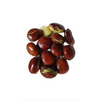 ราคา ลูกเนียงเพาะหรือลูกเนียงสมาน ถุง200กรัม (42616020160)