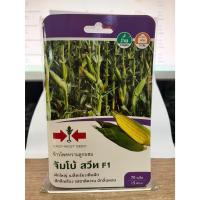 ราคา เมล็ดพันธุ์ ข้าวโพดหวานลูกผสม จัมโบ้ สวีท F1 ตราศรแดง (46252217125)