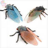 ราคา จำลองสัตว์ป่าสัตว์เลื้อยคลานแมลงโมเดลจักจั่น (27770389297)