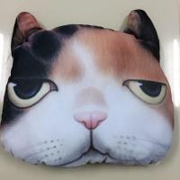 ราคา หมอนพิมพ์ลายหน้าแมว3D (565792560)