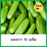 ราคา เมล็ดแตงกวา แตงกวา เมล็ดพันธุ์ผัก เมล็ดผัก เมล็ดผักสวนครัว 10แถม1 คละได้ (23473603861)
