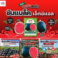 ราคา เมล็ดแตงโม ซันแบล็คเอ็กซ์แอล ตราศรแดง ขนาด40กรัม เมล็ดพันธุ์แตง แตงโมลูกใหญ่ แตงโมดำ ศรแดง (29233147165)