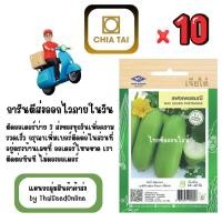 ราคา CTF1 x 10 เมล็ดผักซองเจียไต๋ แฟง เพชรมณี (ลูกผสม) สินค้ายกแพ็ค (43223043476)