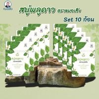 ราคา สบู่พลูคาวหมอเส็ง กล่องใหม่ สูตรเดิม [ จำนวน 10 ก้อน ] (29176689960)