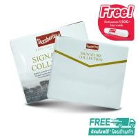 ราคา Slumberland เซ็ทผ้าปูที่นอน Cotton รุ่น PERLASO (23226416674)