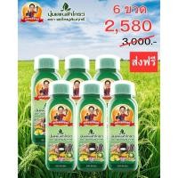 ราคา สุดคุ้ม[6ขวด] ปุ๋ยแพนต้าโกรว์ ตราพ่อใหญ่สัมฤทธิ์ 1ขวด 500cc (43611939284)