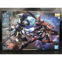 ราคา MG 1/100 AILE STRIKE GUNDAM RM EDITION (CHINA RED) + FULL EQUIPMENT SET (13364777843)
