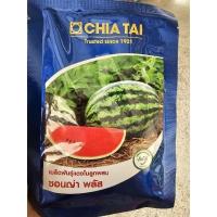 ราคา เมล็ดแตงโม ซอนญ่า พลัส ตรา เจียไต๋ ขนาด 40 กรัม แตงโมซอนญ่า (26576194529)