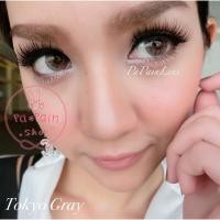 ราคา Tokyo Gray / Mini Tokyo Gray by Dreamcolor1 (396547974)