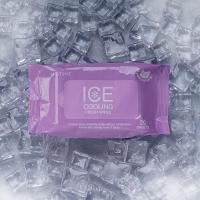 ราคา ผ้าเปียกมิสทิน ไอซ์ คูลลิ่ง เฟรส ไวพ์ 20 แผ่น MISTINE ICE COOLING FRESH WIPES 20 SHEETS (9156257070)