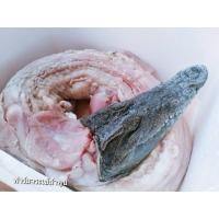 ราคา จระเข้ทั้งตัว สำหรับทำจระเข้หัน จากฟาร์มจระเข้ ลำพูน ต้นตำหรับจระเข้หันเจ้าแรกของประเทศ (27304528003)