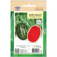 ราคา เมล็ดพันธุ์ แตงโม ซอนญ่า ตราเจียไต๋ (22083847205)
