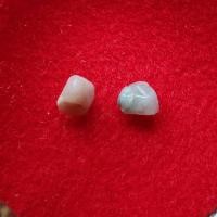 ราคา พระธาตุ คุณแม่ชีกั้ง เทพิน วัดป่าภูริทัตตถิราวาส (รหัส B10/10) (26574640535)