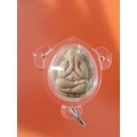 ราคา พระผงปิดตาหลวงปู่โต๊ะ ออกวัดถ้ำสิงห์โตทอง ย้อนยุค (25575574852)