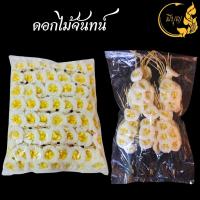 ราคา ดอกไม้จันทน์ มี แบบดอกเดี่ยว/แบบช่อเชิญ9ดอก ดอกเดี่ยว 1ถุงมี100ดอก- ช่อเชิญ 1ถุงมี10ช่อ*ออกใบกำกับได้* (25517982671)