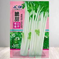 ราคา ไม้กระถางระเบียงโฟร์ซีซั่นส์ผักแดจอน (52300334021)