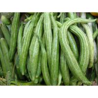 ราคา เมล็ด บวบงู ใหม่ บวบงู เก็บเกี่ยว 45 วัน ใหม่็ดบวบงู บวบงูยาว ใหม่ใหม่ต่างๆ ใหม่ ข้าวโพด (23165763395)