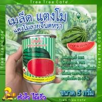ราคา เมล็ดแตงโม แตงโมลายจินตหรา 5 กรัม 60กรัม ตรารถถัง แตงโม เมล็ดพันธุ์ มล็ดพันธุ์แตงโม อัตราการงอกสูง (19388629102)