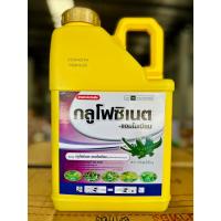 ราคา กลูโฟซิเนต-แอมโมเนียม จระเข้บิน ยาฆ่าหญ้า ออกฤทธิ์แบบเผาไหม้ กลูโฟซิเนตเกรดพรีเมี่ยม ขนาด 4 ลิตร (40669968059)