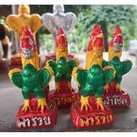 ราคา ไก่จิ๋ว ไก่แก้บน ไก่ไอ้ไข่ ไก่ชน สุง 10 เซน และ 13เซน พร้อมส่ง สวนเพื่อนเกษตร นนทบุรี (26203765554)