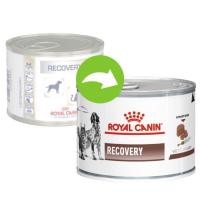 ราคา Royal Canin Recovery 195 g. อาหารสำหรับสุนัขหรือแมวป่วยพักฟื้น (22906014292)