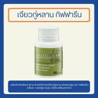 ราคา เจียวกู่หลาน กิฟฟารีน เจียวกู่หลานชนิดแคปซูล สารสกัดจากเจียวกู่หลาน เจียวกู่หลานสกัด ของแท้ (26752162042)