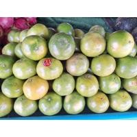 ราคา ส้มสายน้ำผึ้งฝางไม่แว๊กซ์น้ำหนัก 3 Kg. (54900989563)