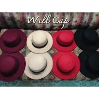 ราคา หมวกทรงเค้ก Well cap (3575954)