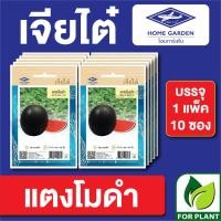 ราคา เมล็ดพันธุ์ ผักซอง แตงโมดำ ตราเจียไต๋ CT15 บรรจุแพ็คล่ะ 10 ซอง (19558410257)