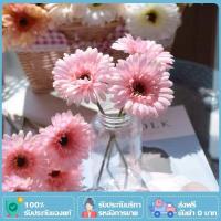 ราคา YTL ดอกเยอบีร่าปลอม เยอบีร่าปลอม เยอบีร่า ดอกเยอบีร่า ดอกไม้ปลอม ดอกไม้ประดิษฐ์ พร้อบถ่ายรูป (25119591678)