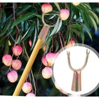 ราคา ตะขอเกี่ยว ที่สอยของ หัวเกี่ยวสอยของ แข็งแรง หัวตะขอสอยของ (43864482457)