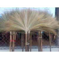 ราคา ไม้กวาดดอกแขม บ้านโค้งสำราญ (19545915469)