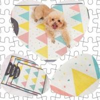 ราคา เบาะนอนสุนัข ที่นอนน้องหมาน้องแมว เบาะนอนลายกราฟฟิก​ สีพาสเทล (1513329187)