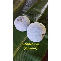 ราคา เมล็ดฟักแฟง(ฟักหอม) 70เมล็ด 20บาท (9708234064)