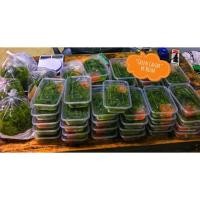 ราคา สาหร่ายพวงองุ่น 1 กิโลกรัม 400 บาท พร้อมน้ำจิ้ (2867573810)