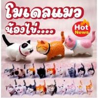 ราคา โมเดล โมเดลแมวไข่ กาชาปอง ตุ๊กตาโมเดล โมเดล ฟิกเกอร์ โมเดลแมวน่ารัก ของสะสม (19736000913)