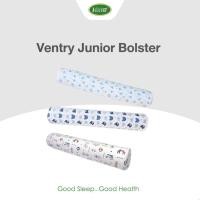 ราคา Ventry Junior Bolster หมอนข้างเด็ก (606447712)