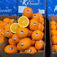 ราคา พร้อมส่ง‼️ 1KG ส้มนาเวล ส้มซันคิสต์ ส้มซันควิก Navel Sunkist (28578936014)