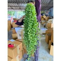 ราคา (สินค้าพรีออเดอร์) เดฟพาดเขียวจัมโบ้ พวงใหญ่ (ยาว45-50 เซน) *กดสั่งสูงสุดได้10 พวงต่อครั้งนะคะ* (23979199748)