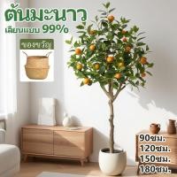 ราคา ฟรี กระถางต้นส้มประดิษฐ์ ความจำลอง99% ต้นไม้มงคลปลอม ผลไม้ปลอม ต้นส้มปลอม 120/150/180CM ต้นไม้ปลอม (43314859176)