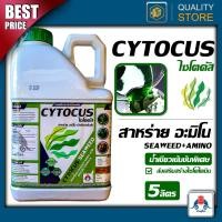 ราคา (ใหม่)Cytocus ขนาด 5 ลิตร สาหร่ายน้ำเขียวข้น สร้างไซโตไคนิน แตกตาใบ ดอก ราก แตกกอ การแบ่งเซลล์ (40927754637)